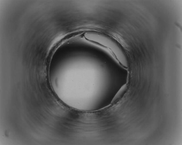 X0000091341164200708311450