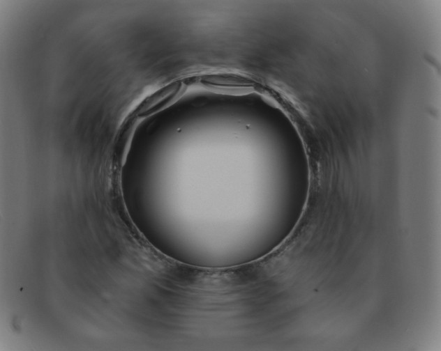 X0000091341165200708311450