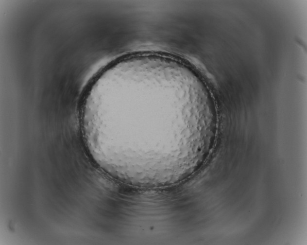 X0000091341167200708311450