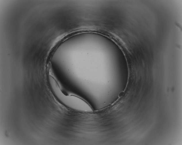 X0000091341168200708311450