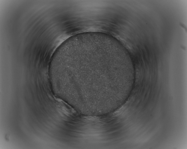 X0000091341170200708311450