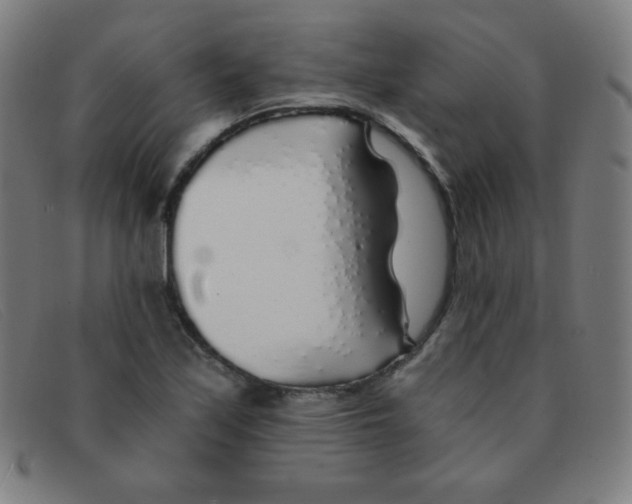 X0000091341171200708311450