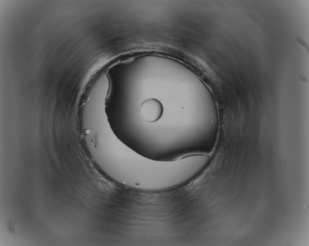 X0000091341172200708311450