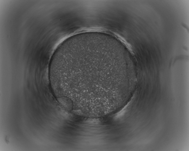 X0000091341174200708311450