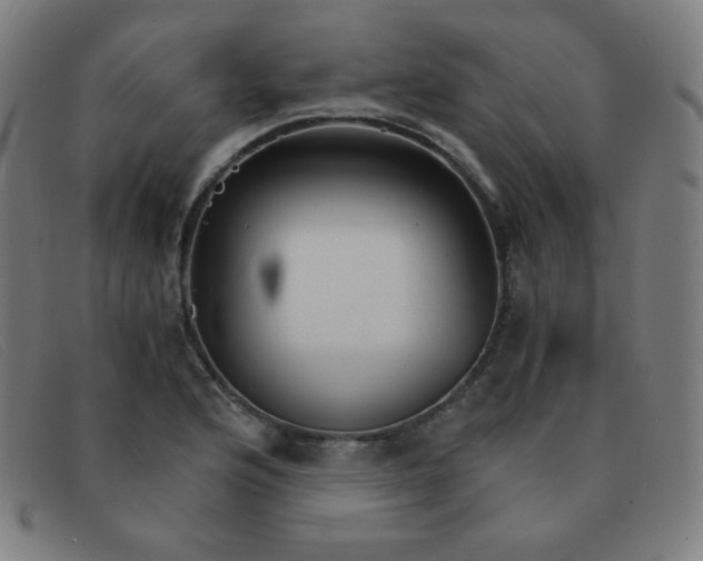 X0000091341176200708311450