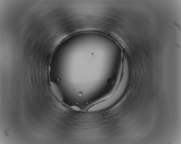 X0000091341177200708311450