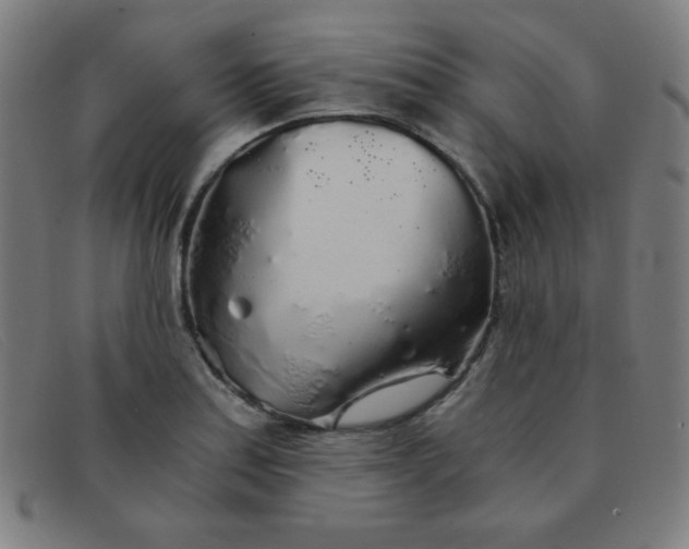 X0000091341179200708311450