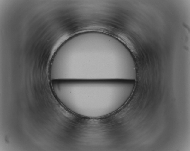 X0000091341180200708311450