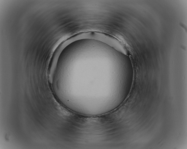 X0000091341181200708311450