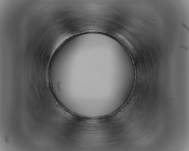 X0000091341182200708311450