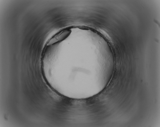 X0000091341183200708311450