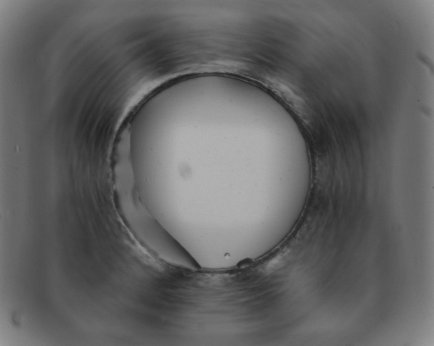 X0000091341184200708311450