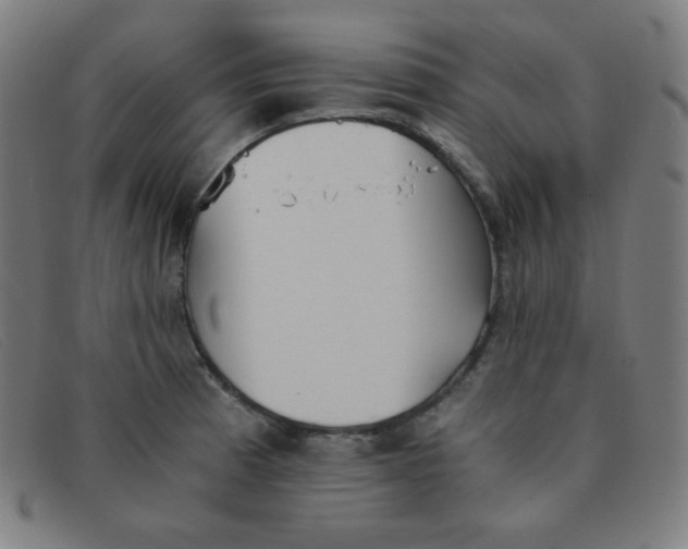 X0000091341185200708311450