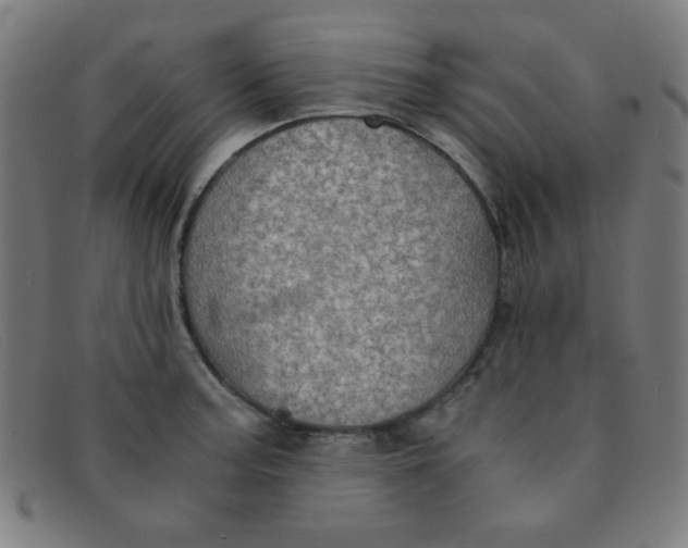 X0000091341187200708311450