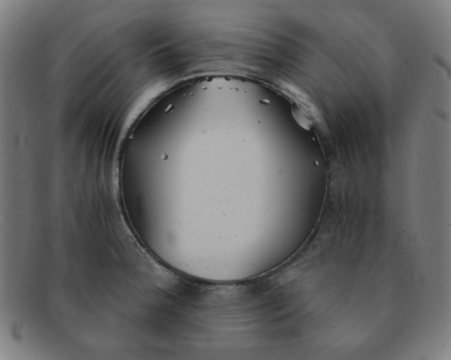 X0000091341188200708311450