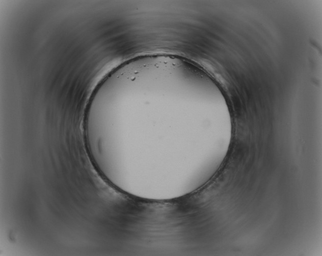 X0000091341189200708311450