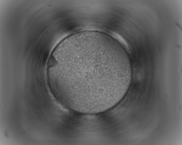 X0000091341190200708311450