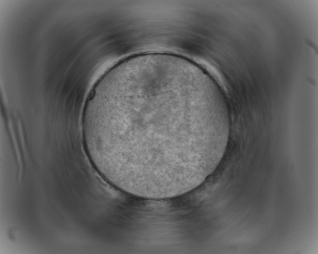 X0000091341191200708311450