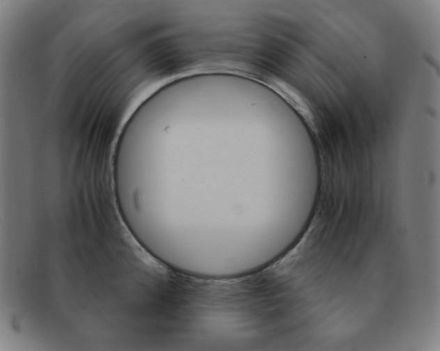 X0000091341192200708311450