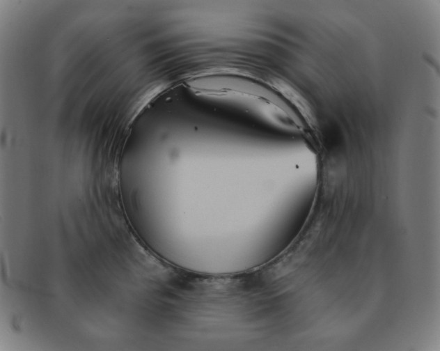 X0000091341193200708311450