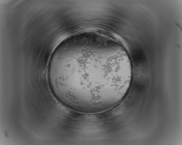 X0000091341194200708311450