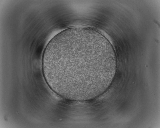 X0000091341195200708311450