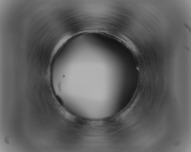 X0000091341196200708311450