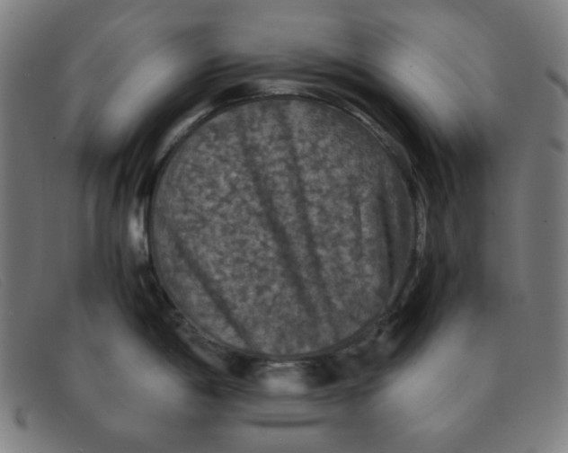 X0000091341198200708311450