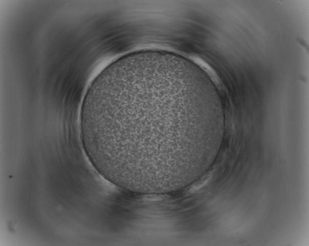 X0000091341199200708311450