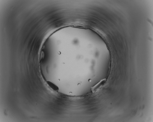 X0000091341200200708311450