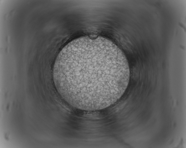 X0000091341201200708311449