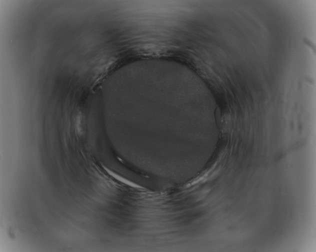 X0000091341202200708311449