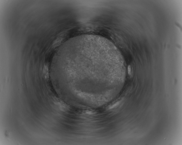 X0000091341203200708311449