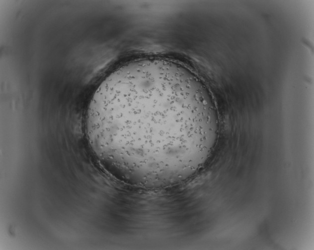 X0000091341205200708311449