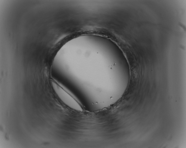 X0000091341206200708311449