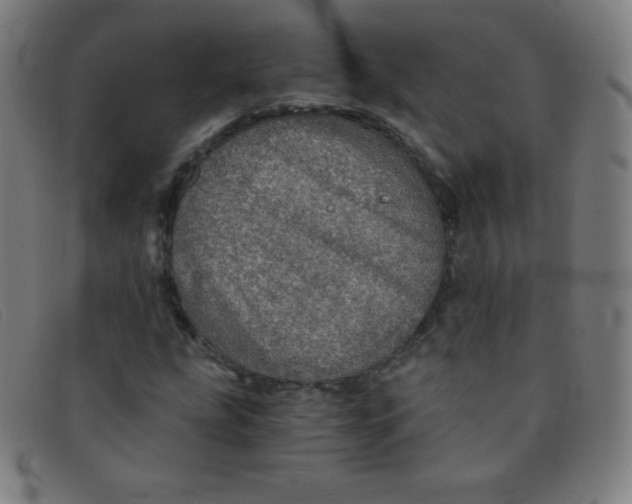 X0000091341207200708311449