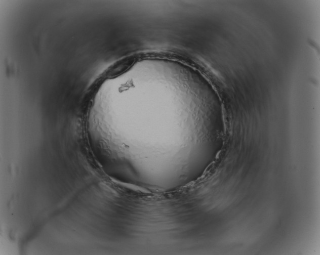 X0000091341208200708311449