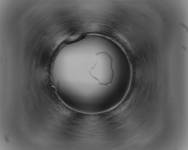 X0000091341210200708311449