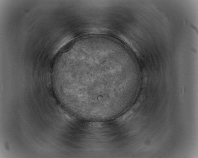 X0000091341211200708311449