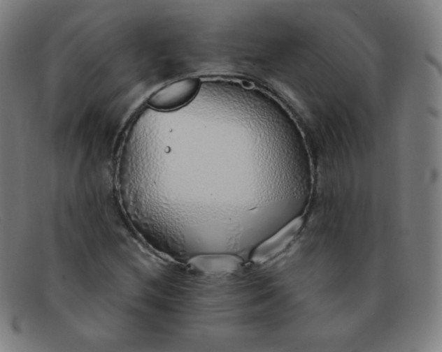 X0000091341212200708311449