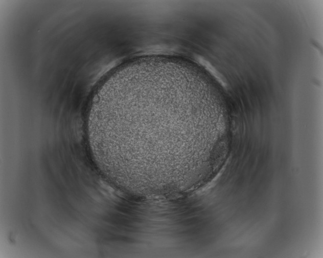 X0000091341213200708311449