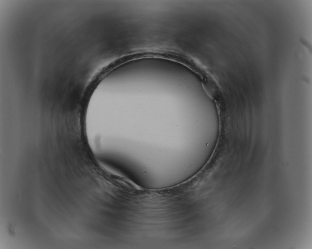 X0000091341214200708311449