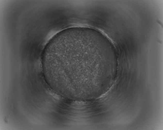 X0000091341215200708311449