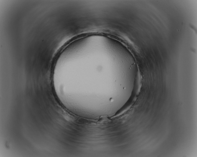 X0000091341216200708311449