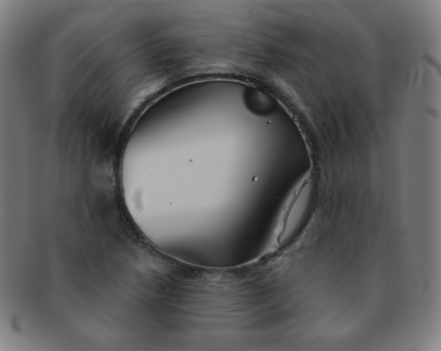 X0000091341218200708311449