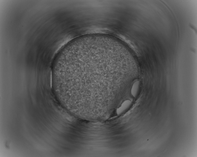 X0000091341219200708311449