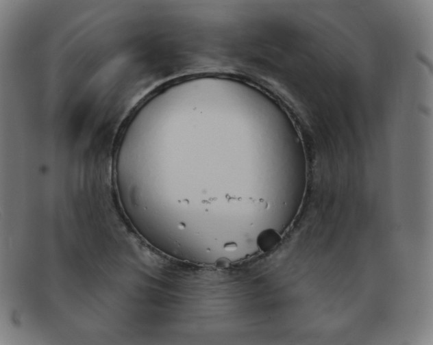 X0000091341220200708311449