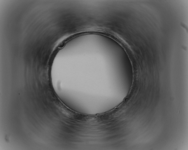 X0000091341222200708311450