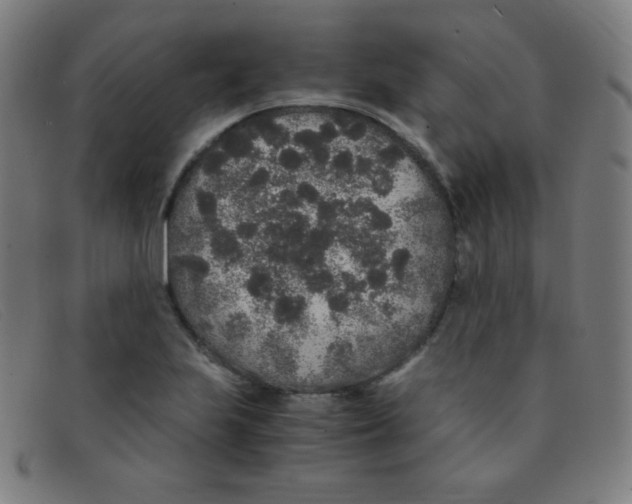 X0000091341223200708311450