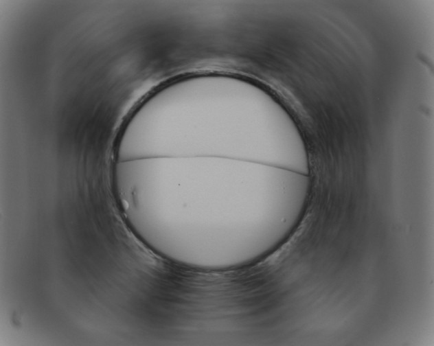 X0000091341224200708311450